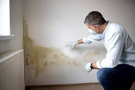 Why You Should Choose Our Mold Remediation Services in Williamsburg, VA